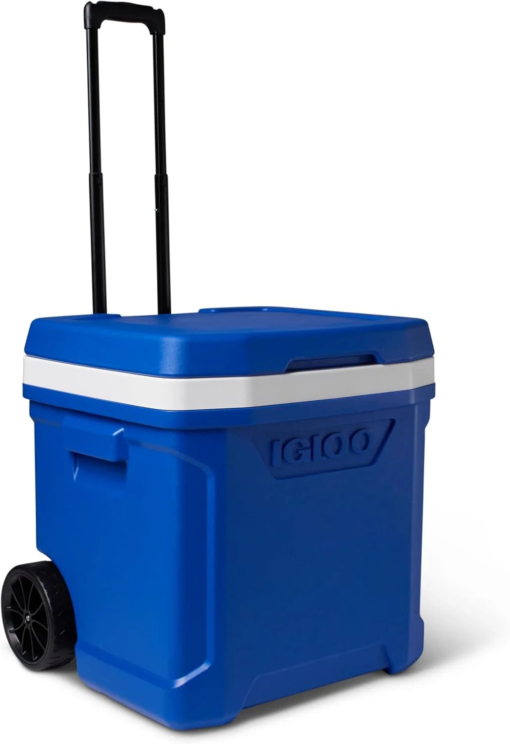 New Arrivals Hard Coolers
